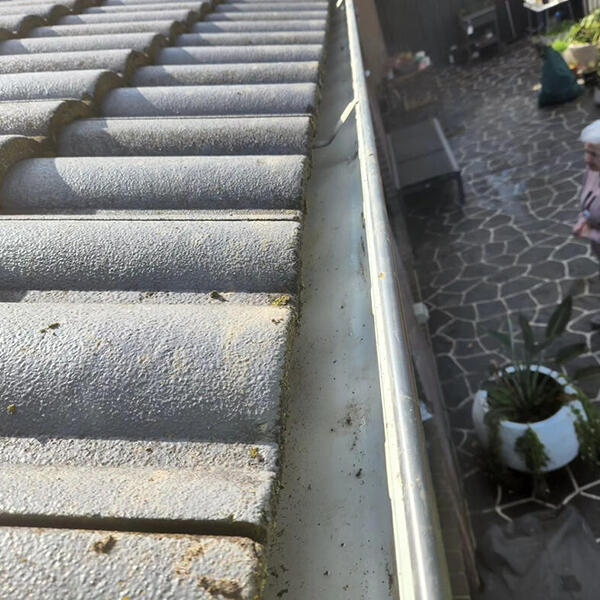 Image 3 Gutter Image 3 Gutter