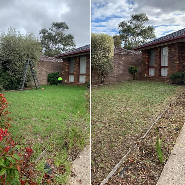 Image 6 House and Lawn Image 6 House and Lawn