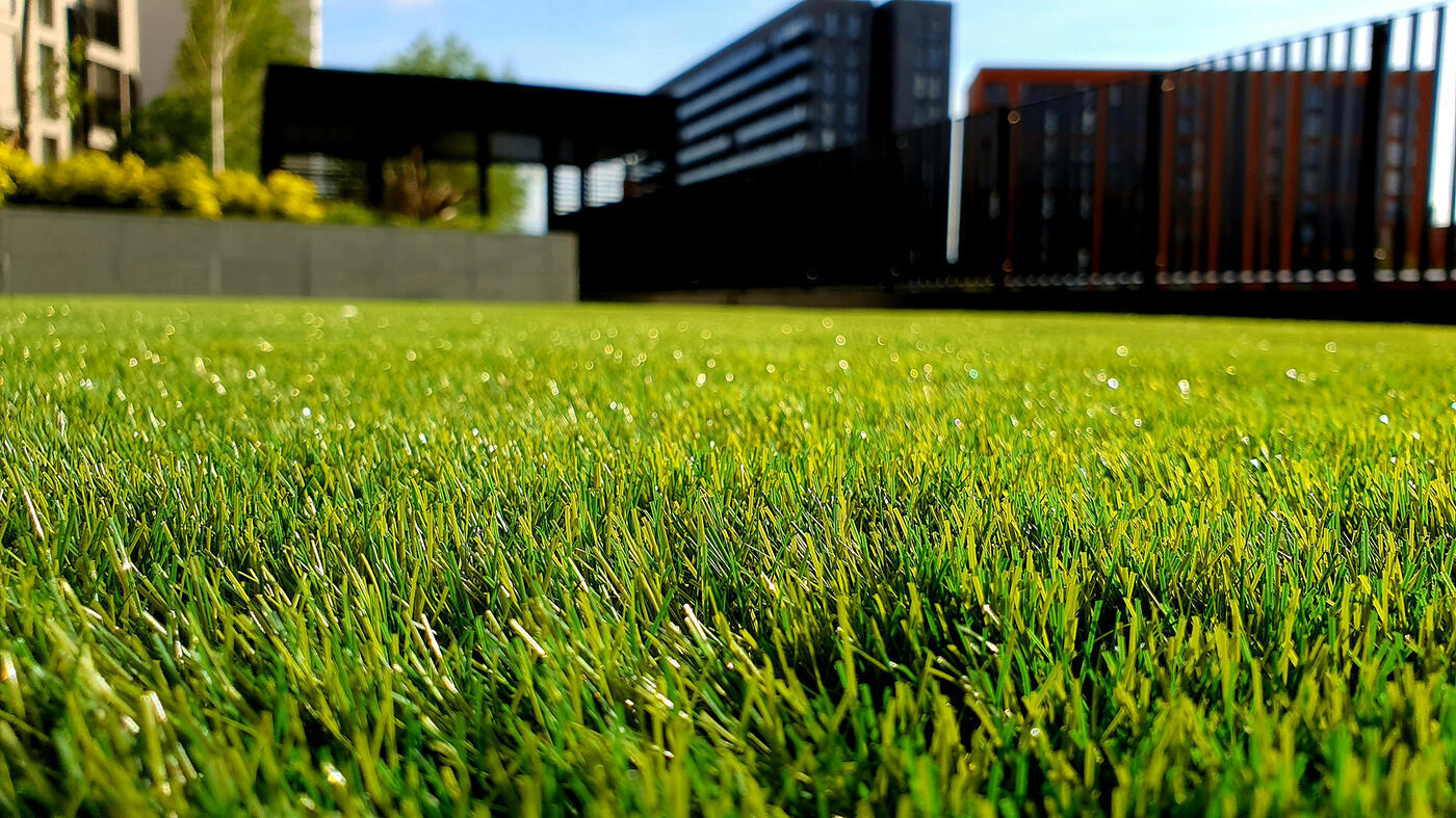 Image 10 Grass Image 10 Grass